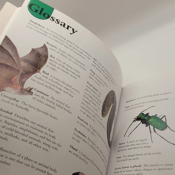 Deadly Creatures Dictionary - Picture 7 of 7